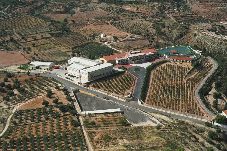 BODEGA DE ELABORACIÓN Y EMBOTELLADO DE VINOS, CRIANZAS Y RESERVAS