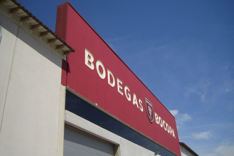 AMPLIACIÓN BODEGA Y CAVA PARA CRIANZA DE VINOS