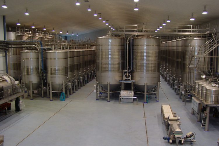 BODEGA DE ELABORACIÓN DE VINOS